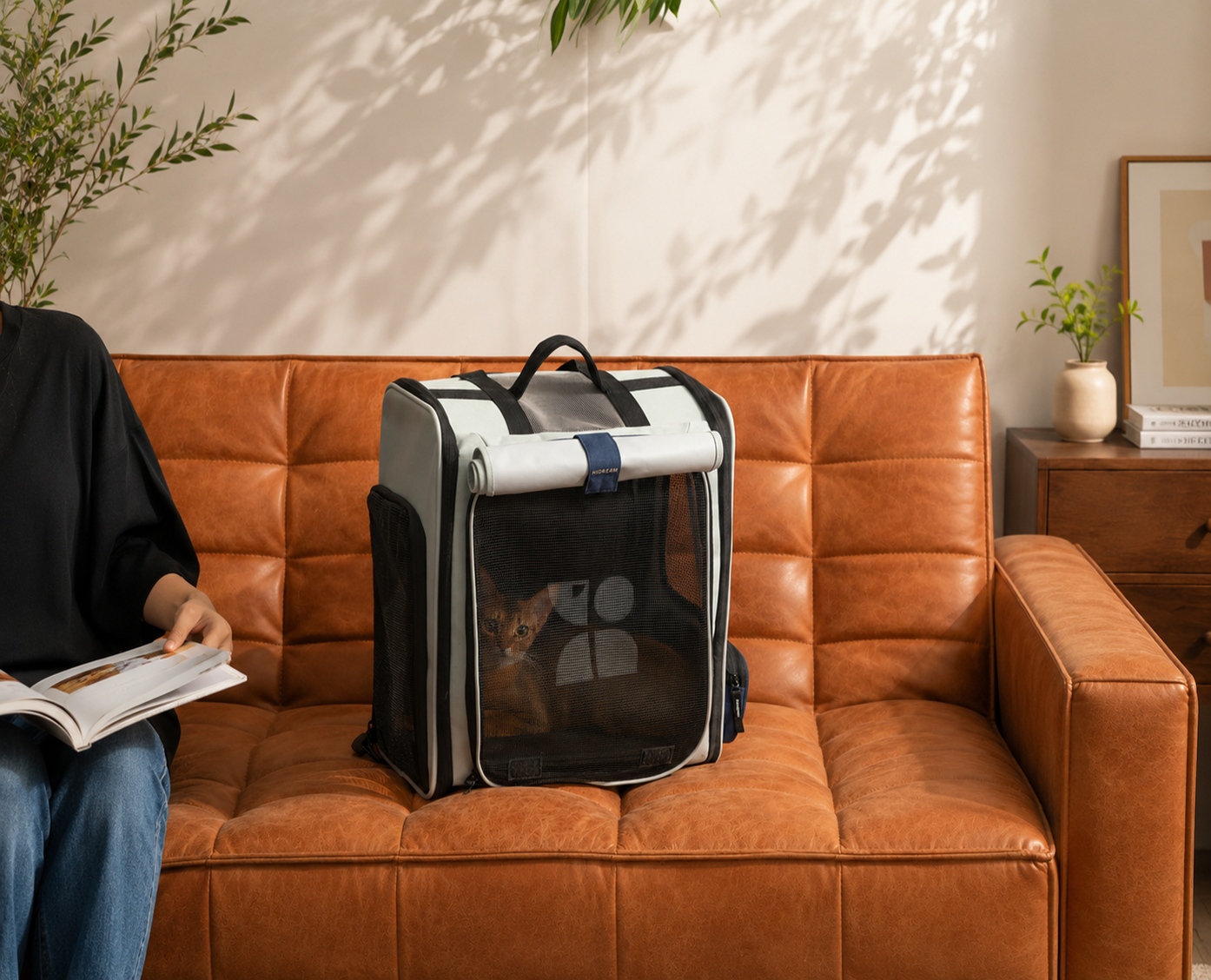 Pet carrier bag and backpack solutions for dogs and cats, designed for convenient travel and outdoor activities
